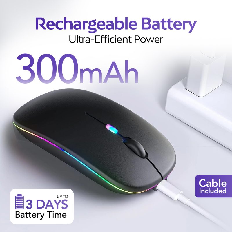 Rechargeable Battery